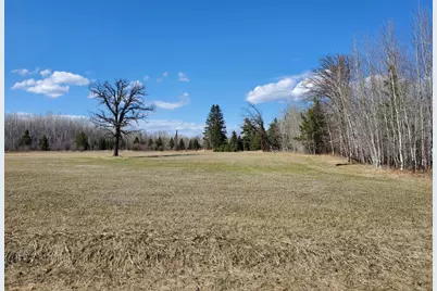 Tbd Wildflower Lane NE, Blackduck, MN 56630 - Photo 6