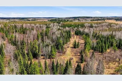 8849 Hwy 25, Angora, MN 55703 - Photo 10