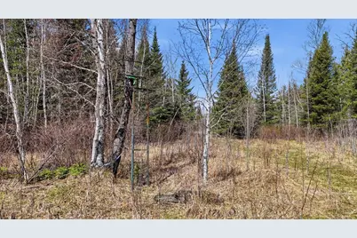 8849 Hwy 25, Angora, MN 55703 - Photo 12