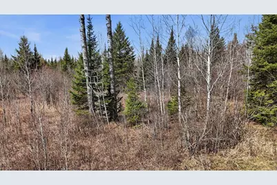 8849 Hwy 25, Angora, MN 55703 - Photo 16