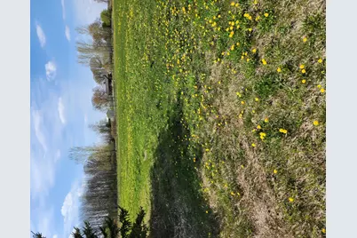 7160 149th Street, Milaca, MN 56353 - Photo 14