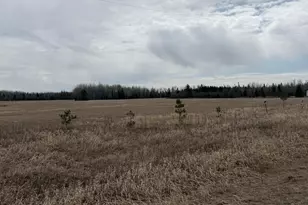 3630 Co Rd 142, International Falls, MN 56649 - Photo 20