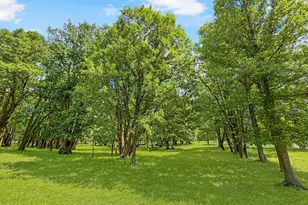 24301 Obrien Creek Rd NE, Hines, MN 56647 - Photo 70