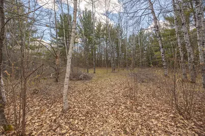 8891 Boy Lake Drive NE, Remer, MN 56672 - Photo 36