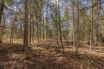 8891 Boy Lake Drive NE, Remer, MN 56672 - Photo 24