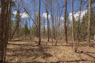 8891 Boy Lake Drive NE, Remer, MN 56672 - Photo 34