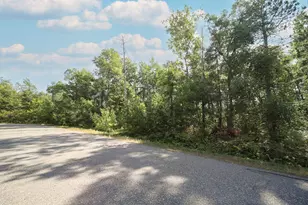 Tbd McGill St, Pequot Lakes, MN 56472 - Photo 1