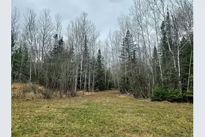 9464 Highway 53, Kabetogama, MN 56669 - Photo 6
