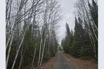 9464 Highway 53, Kabetogama, MN 56669 - Photo 10