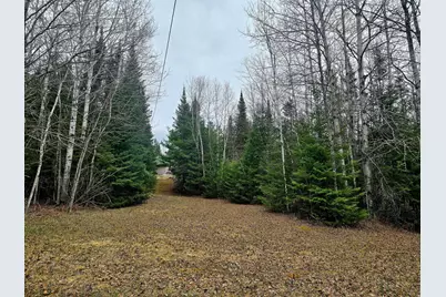 9464 Highway 53, Kabetogama, MN 56669 - Photo 8