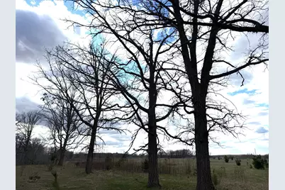 10121 State Hwy 87, Menahga, MN 56464 - Photo 58