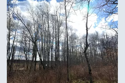 10121 State Hwy 87, Menahga, MN 56464 - Photo 30