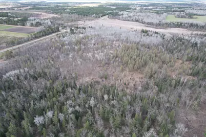 10121 State Hwy 87, Menahga, MN 56464 - Photo 16