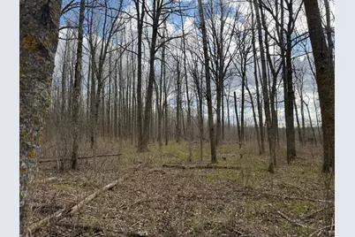 10121 State Hwy 87, Menahga, MN 56464 - Photo 52
