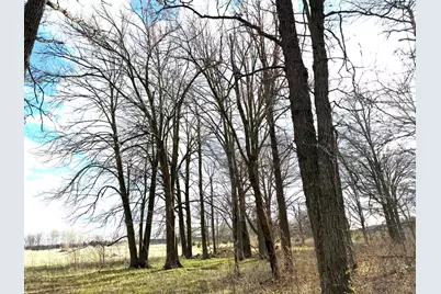 10121 State Hwy 87, Menahga, MN 56464 - Photo 116