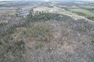 10121 State Hwy 87, Menahga, MN 56464 - Photo 1