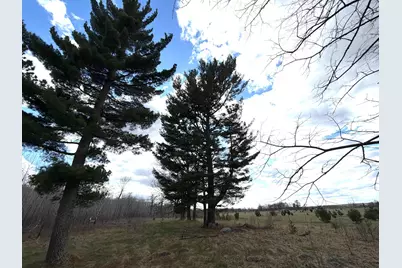 10121 State Hwy 87, Menahga, MN 56464 - Photo 60