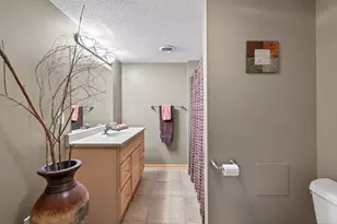 13746 Shenandoah St NE, Ham Lake, MN 55304 - Photo 50
