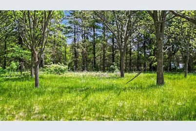 Tbd Westervelt Avenue Way, Frontenac, MN 55026 - Photo 14