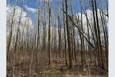 Tbd Wadena Line Road, Menahga, MN 56464 - Photo 22