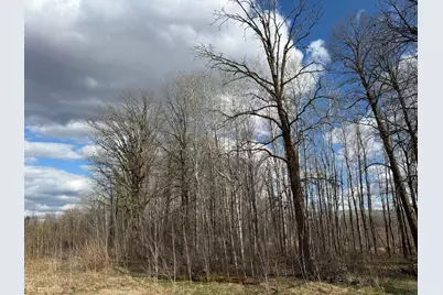 Tbd Wadena Line Road, Menahga, MN 56464 - Photo 18