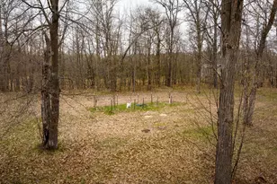 27181 Ridgewood Dr, Merrifield, MN 56465 - Photo 54