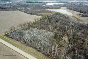 Tbd Boot Lake Rd SW, Bemidji, MN 56601 - Photo 1