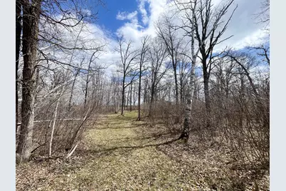 Tbd Boot Lake Rd SW, Bemidji, MN 56601 - Photo 24