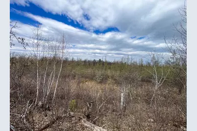 Tbd1 Boot Lake Road SW, Bemidji, MN 56601 - Photo 22