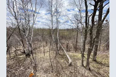 Tbd1 Boot Lake Road SW, Bemidji, MN 56601 - Photo 26