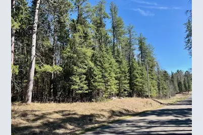 Tbd New Melahn Drive, Lake George Township, MN 56458 - Photo 2