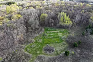 21945 County 38, Long Prairie, MN 56347 - Photo 60