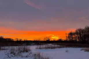 21945 County 38, Long Prairie, MN 56347 - Photo 102