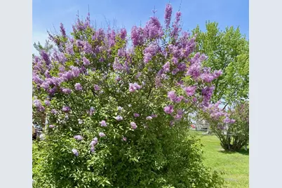 1408 11th Avenue NW, Austin, MN 55912 - Photo 26