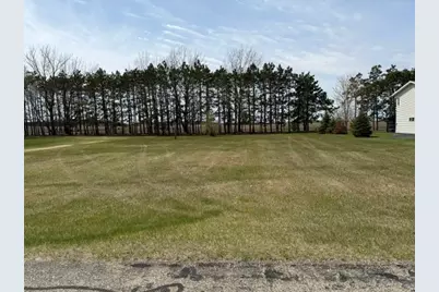 Tbd 439th Avenue, Perham, MN 56573 - Photo 1