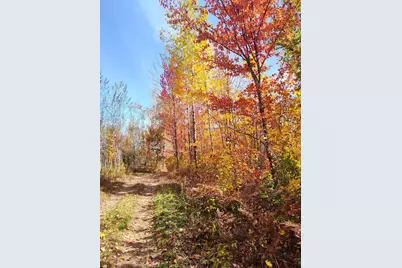 37590 Degerstrom Road, Askov, MN 55704 - Photo 44