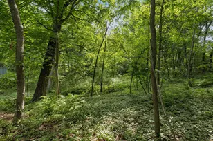 1 Chickadee Ln, North Oaks, MN 55127 - Photo 34