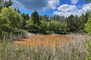 1735 Hwy 12, Two Harbors, MN 55616 - Photo 32