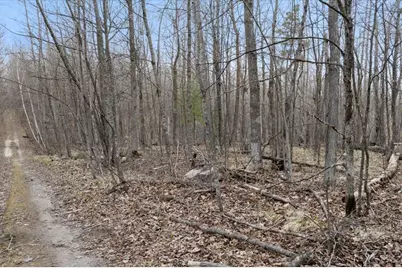 Tbd Kestrel Trail NW, Hackensack, MN 56452 - Photo 12