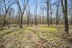 9382 Co Rd 8, Brainerd, MN 56401 - Photo 80