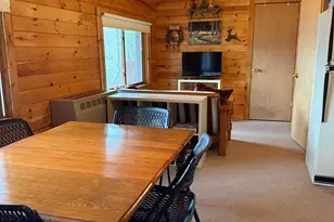 51033 E Lake Dr, Bigfork, MN 56628 - Photo 4