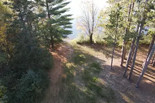 51033 E Lake Dr, Bigfork, MN 56628 - Photo 16