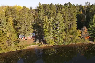 51033 E Lake Dr, Bigfork, MN 56628 - Photo 18