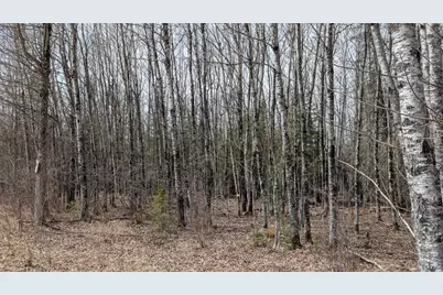 Lot 2 Lund Road, Cook, MN 55723 - Photo 10