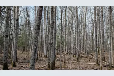 Lot 4 Lund Road, Cook, MN 55723 - Photo 6
