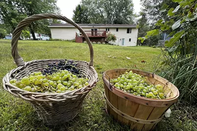 19055 Jordan Trail, Lakeville, MN 55044 - Photo 24