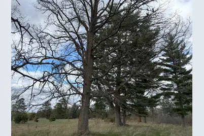 10121 State Highway 87, Menahga, MN 56464 - Photo 14