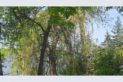 1373 Rest Point Road, Orono, MN 55364 - Photo 10