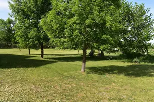 19386 Cedar Island Lake Rd, Richmond, MN 56368 - Photo 30