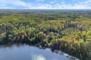 24392 S Long Lake Trail, Bigfork, MN 56628 - Photo 8